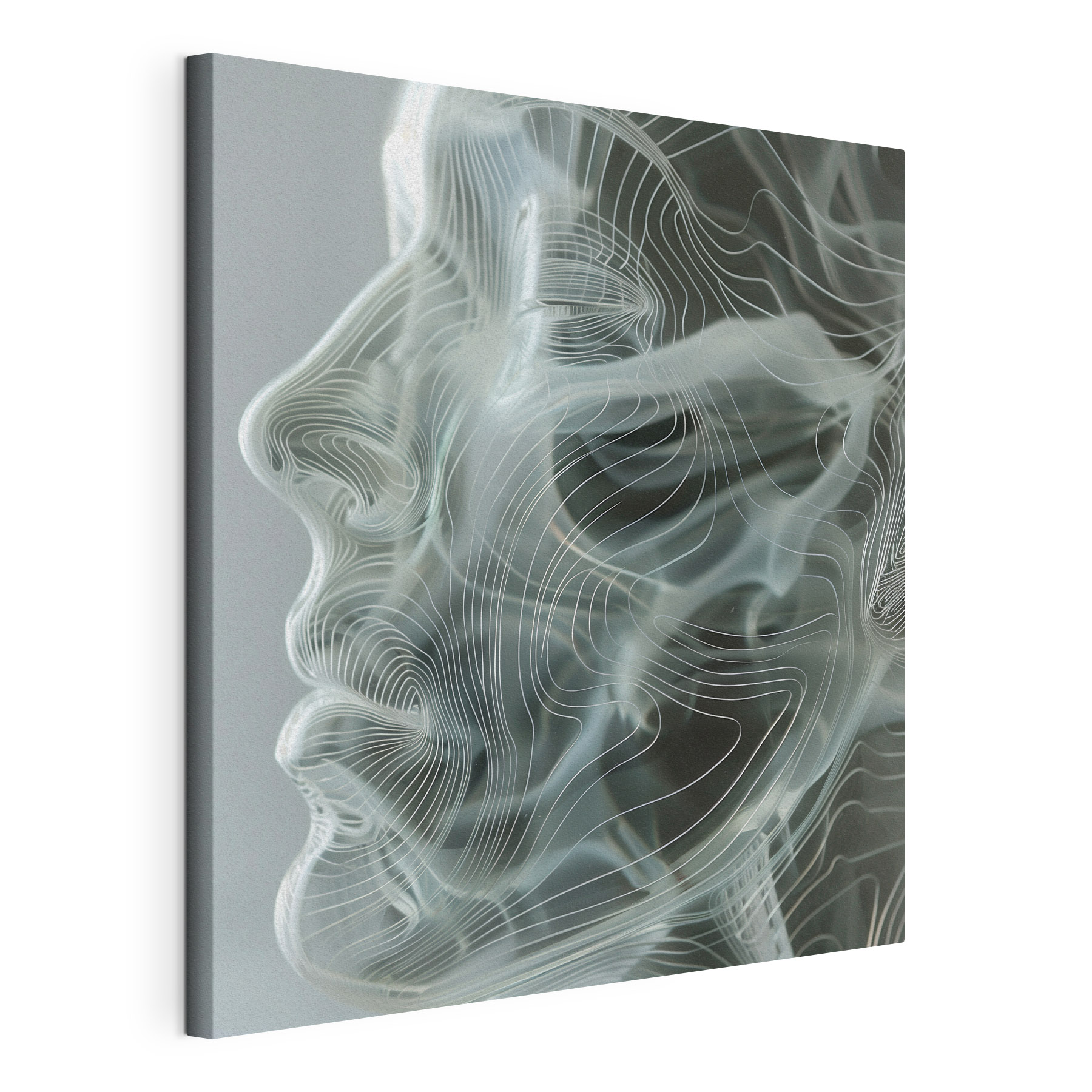 Abstract lines revealing subtle expressions Abstract lines revealing subtle expressions