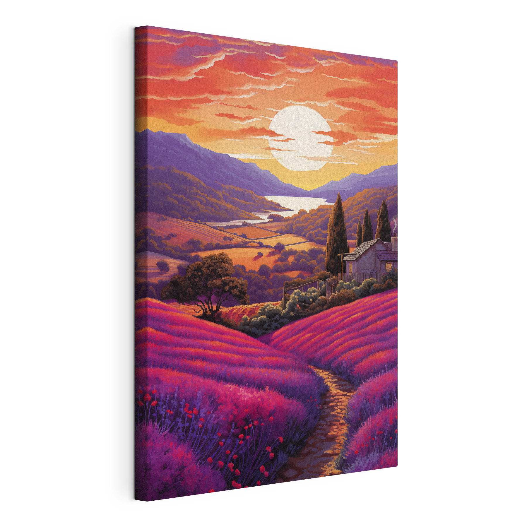 House in a field of lavender