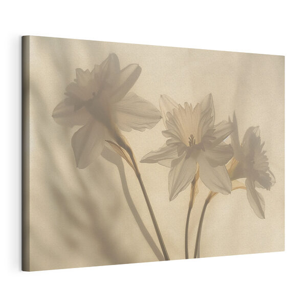 Quadri Mazzo di fiori bianchi (COD: s40979) Quadri Quadri Mazzo di fiori bianchi (COD: s40979)