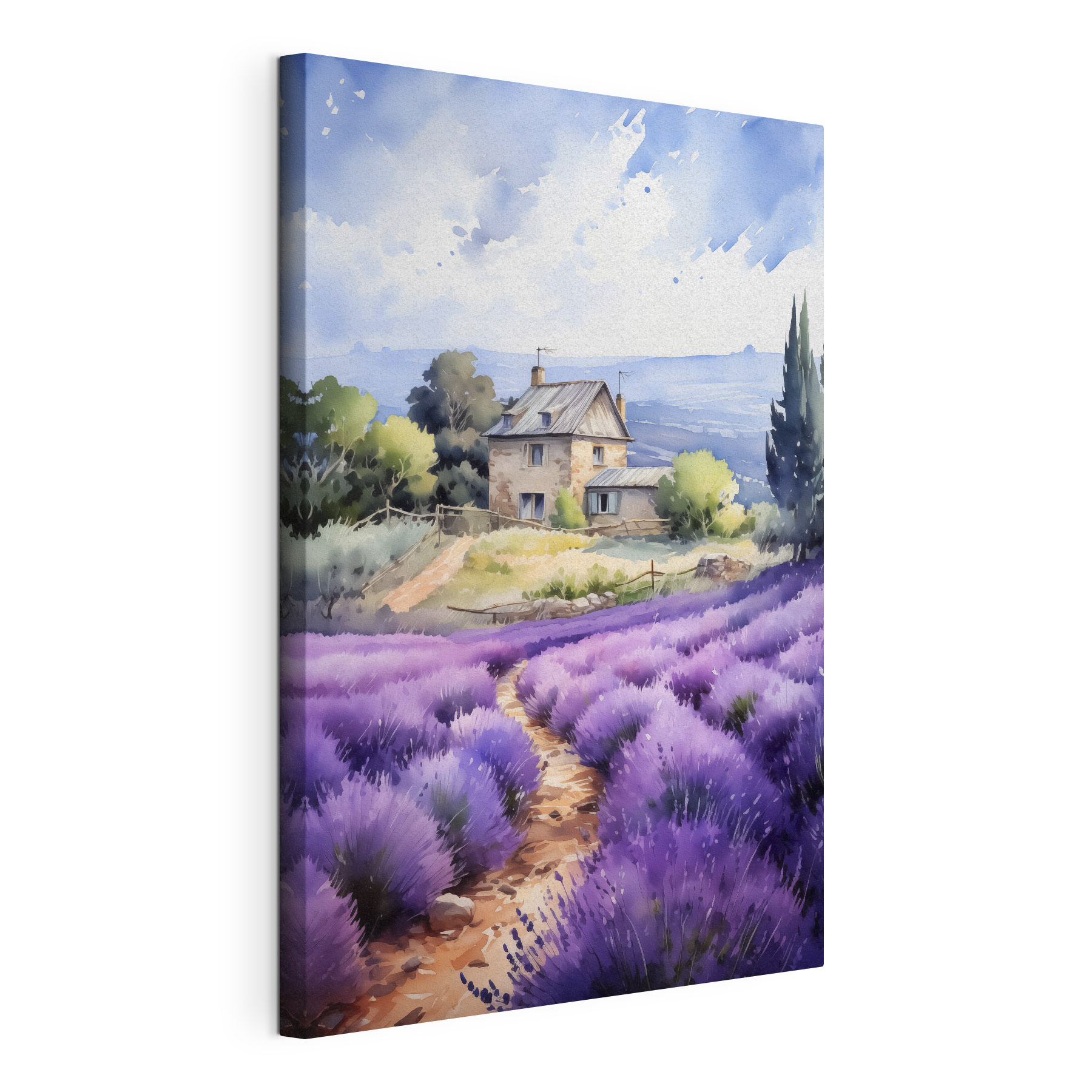 House in a field of lavender