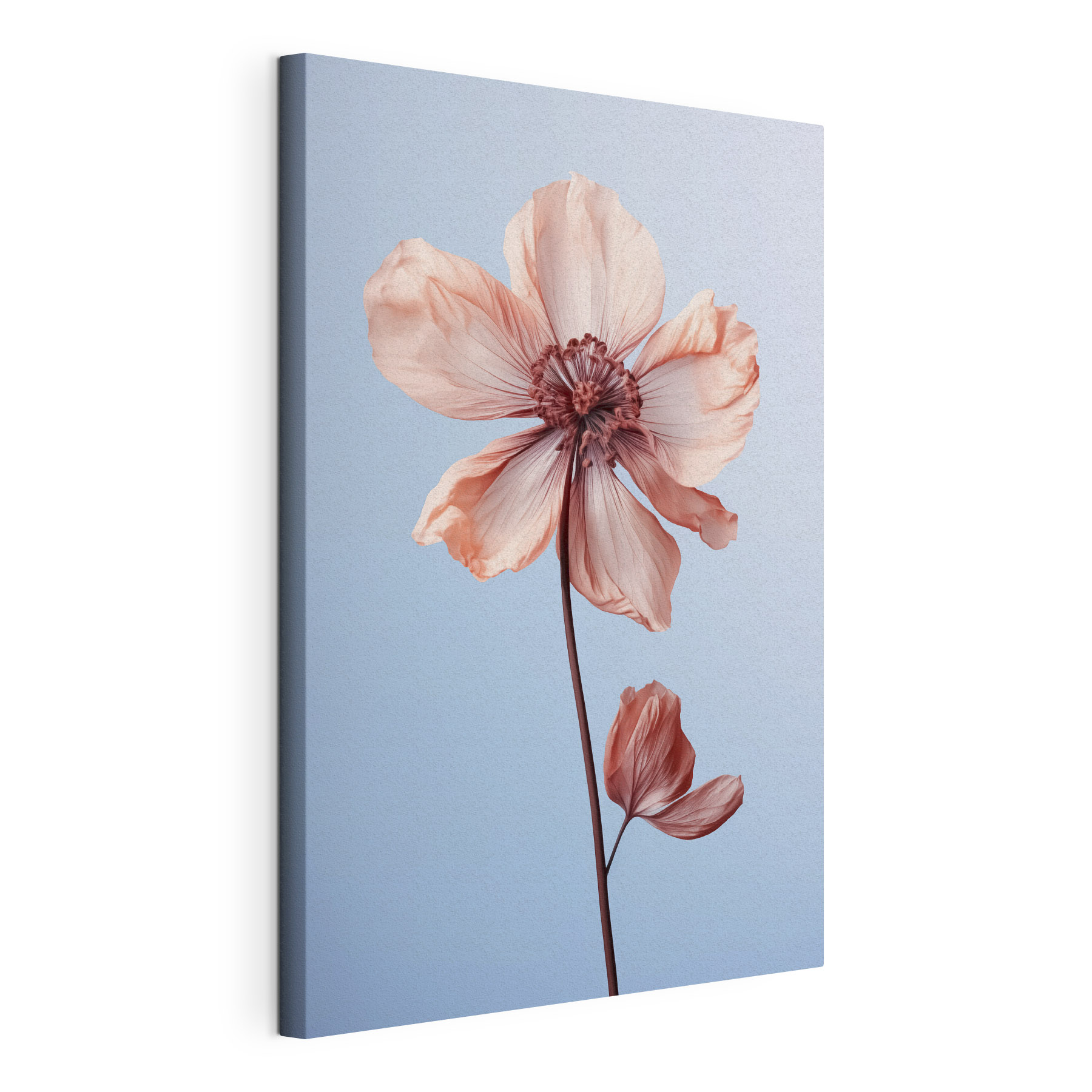 Delicate petals against a soft backdrop Delicate petals against a soft backdrop