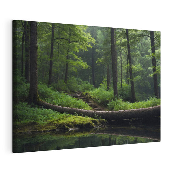 Quadri Albero caduto sopra uno specchio d'acqua (COD: s41054) Quadri Quadri Albero caduto sopra uno specchio d'acqua (COD: s41054)