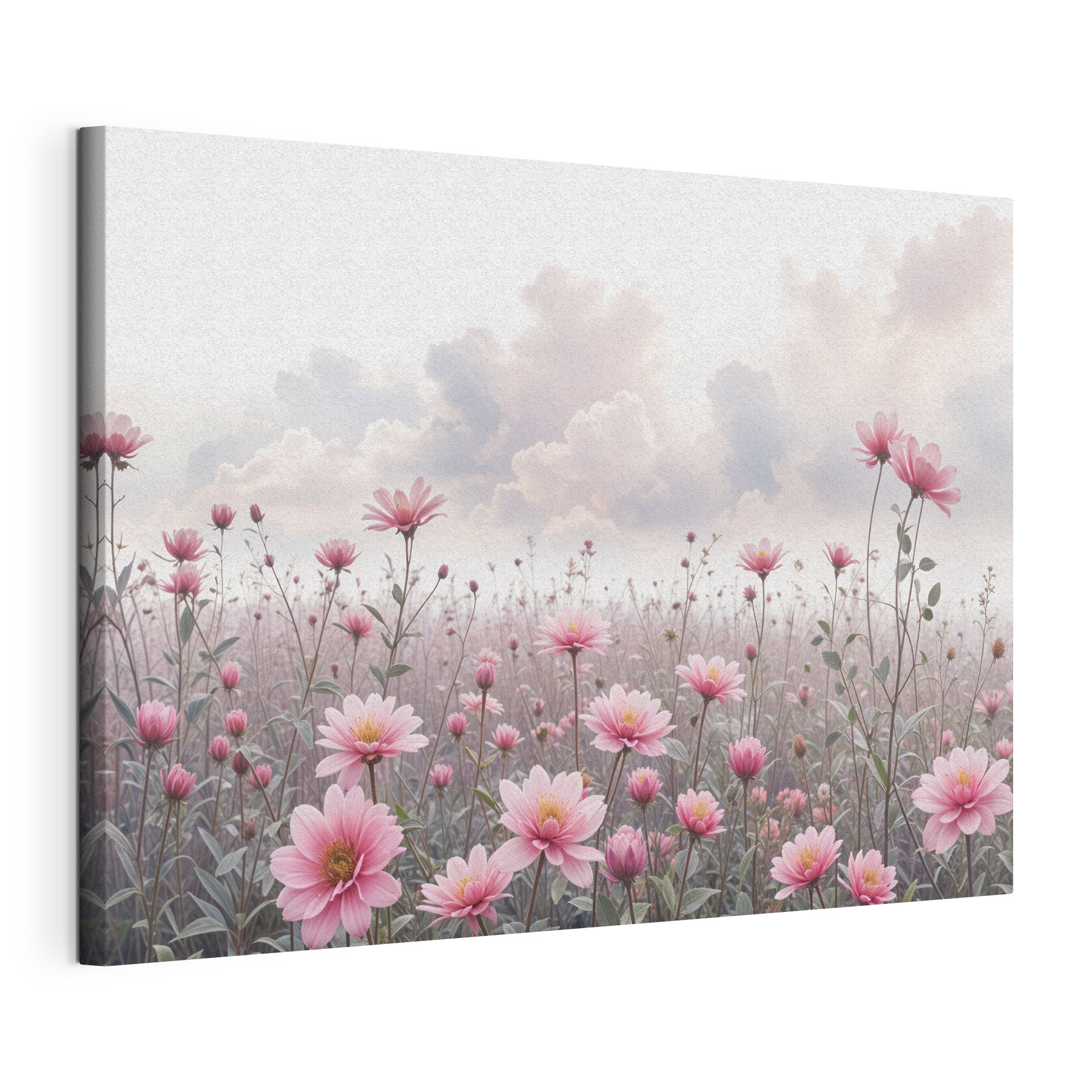 Field of pink flowers