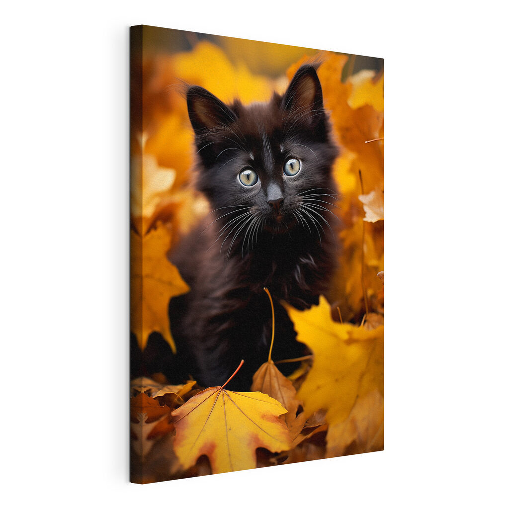 Black kitten in a pile of leaves Black kitten in a pile of leaves