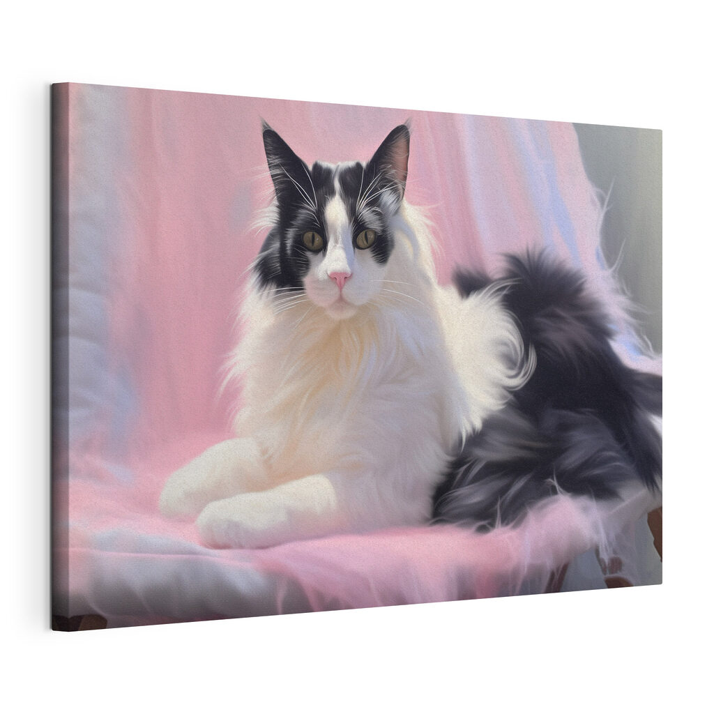 Black and white cat lying on a pink blanket Black and white cat lying on a pink blanket
