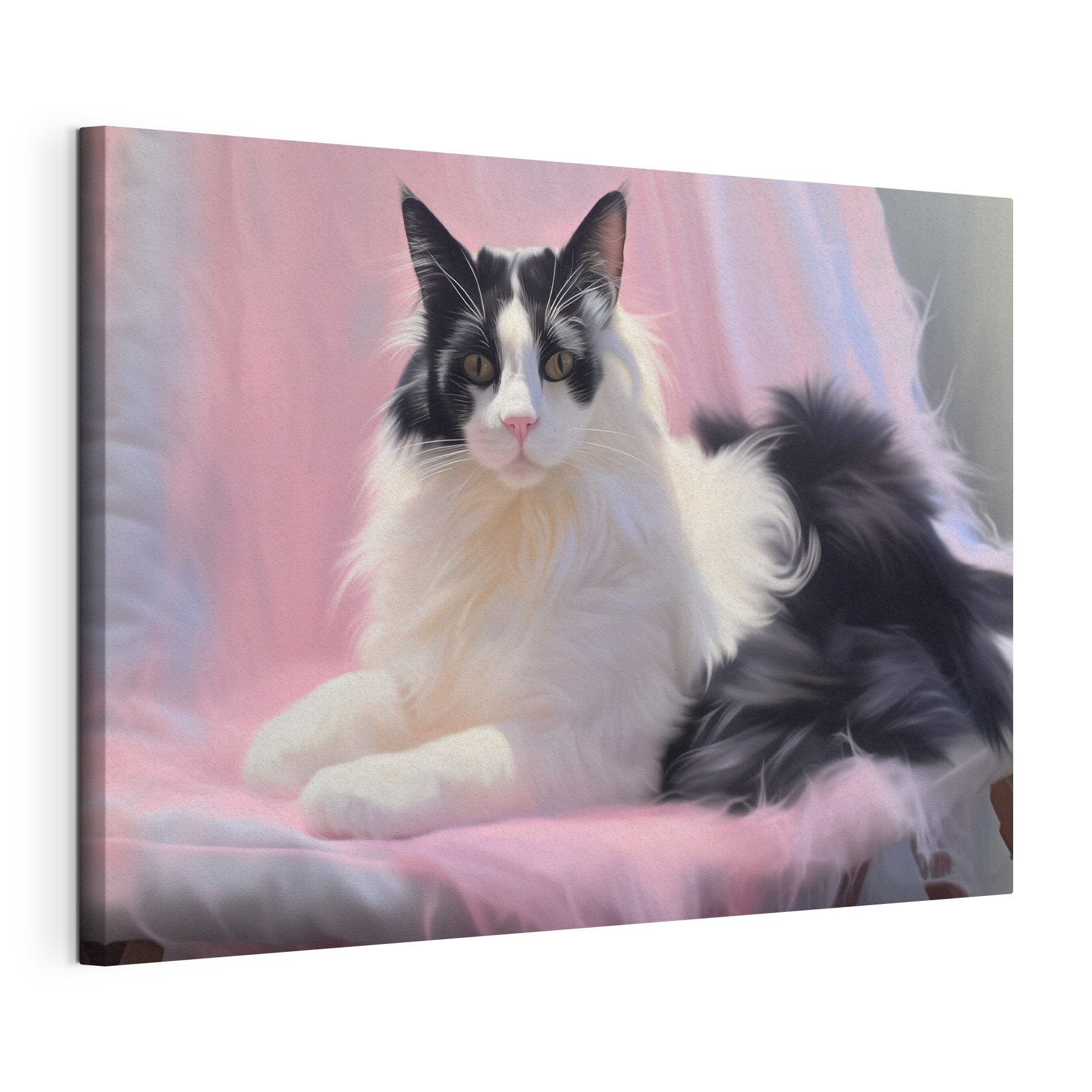 Black and white cat lying on a pink blanket Black and white cat lying on a pink blanket