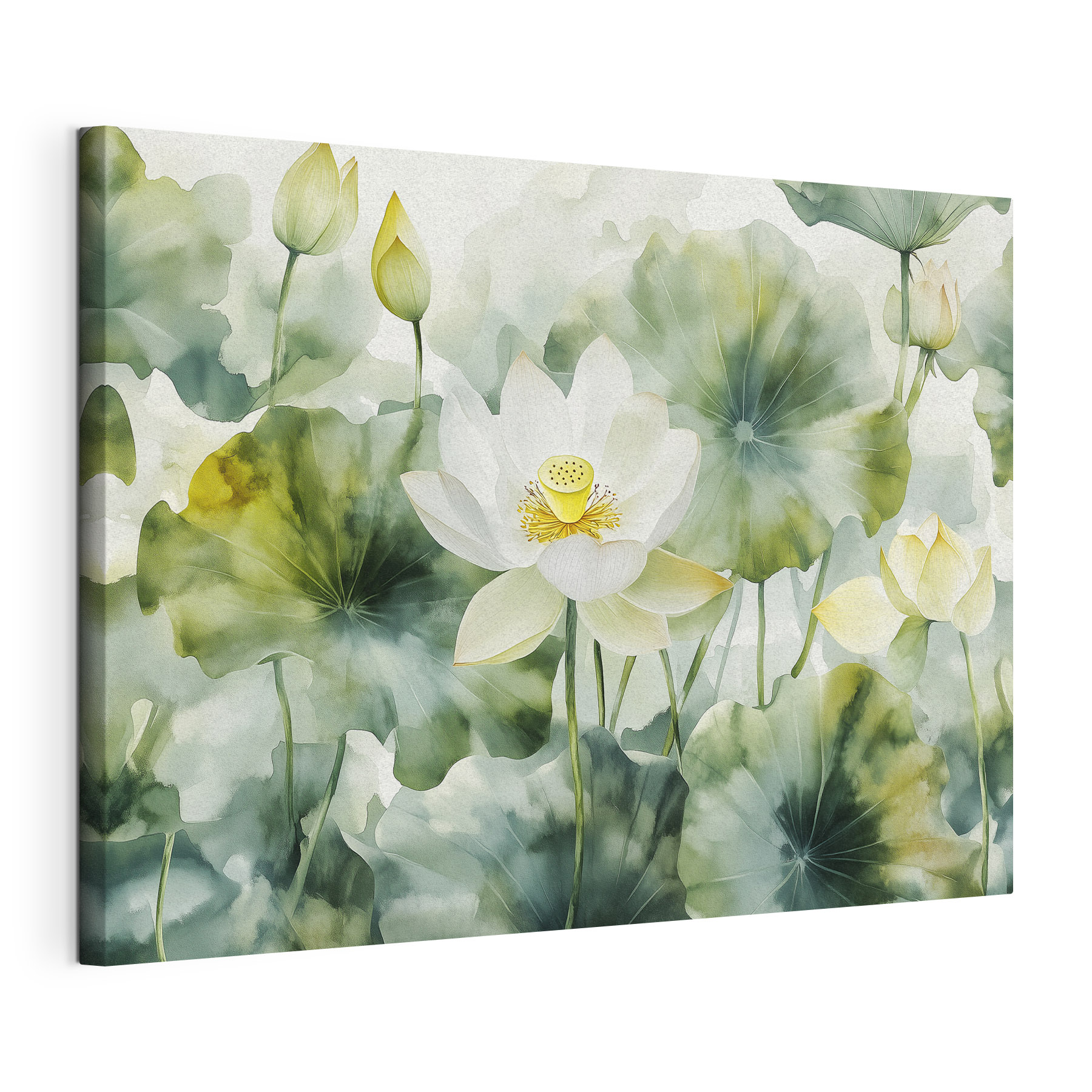 Elegant lotus blossoms in serene water Elegant lotus blossoms in serene water
