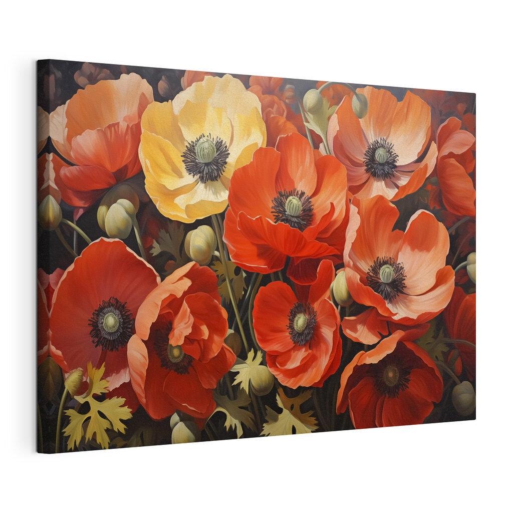Vibrant poppies in full bloom