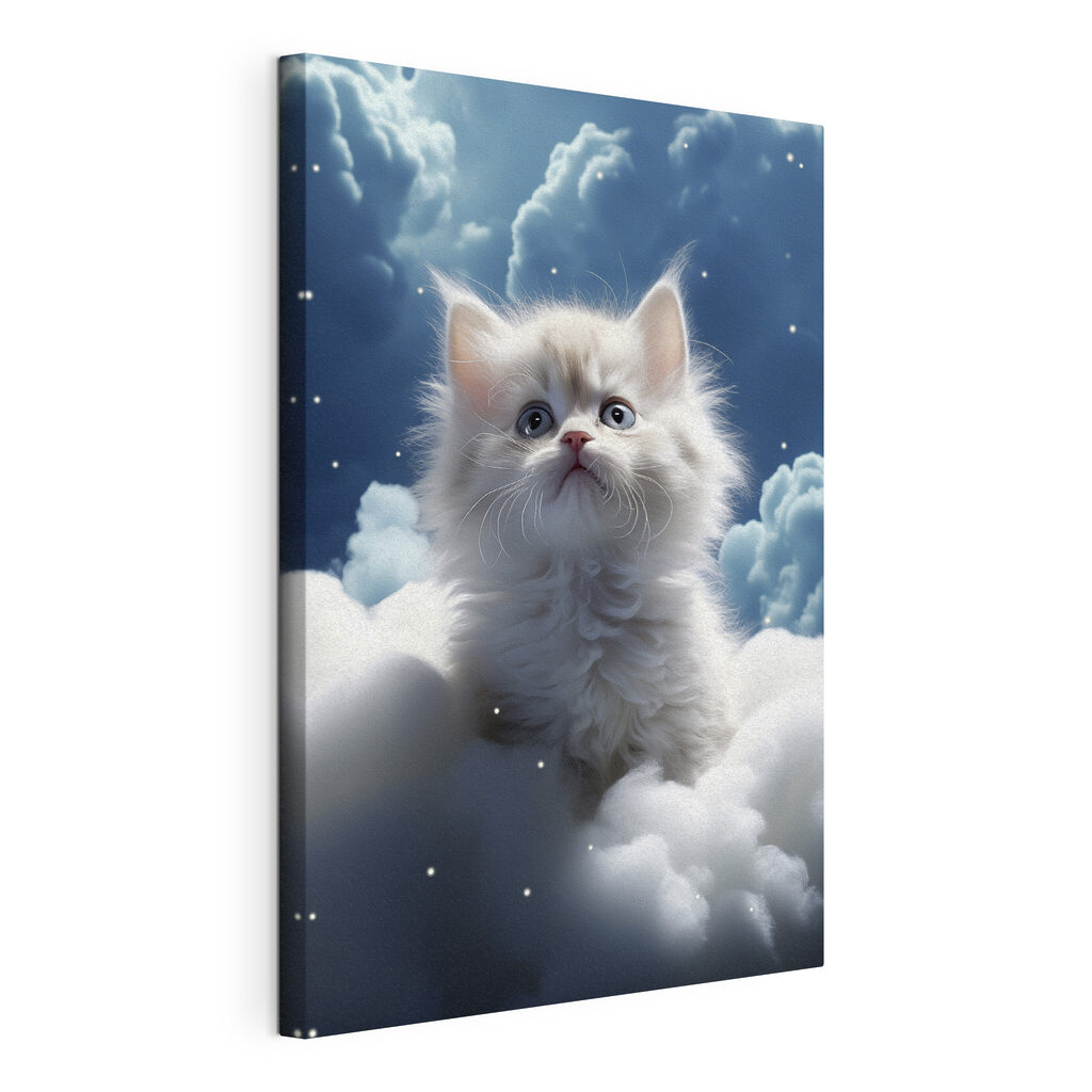 Cat sitting on a cloud Cat sitting on a cloud