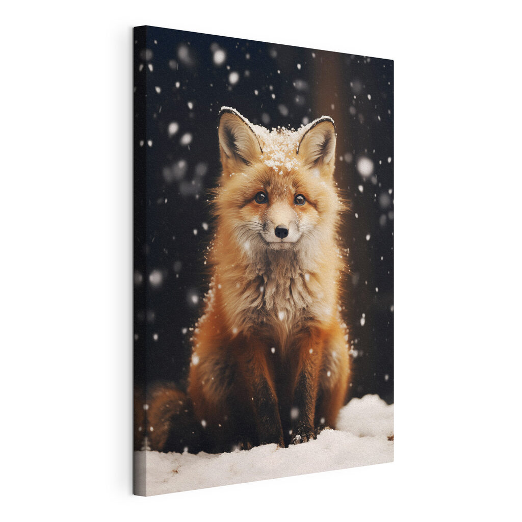Fox with snow on its head Fox with snow on its head