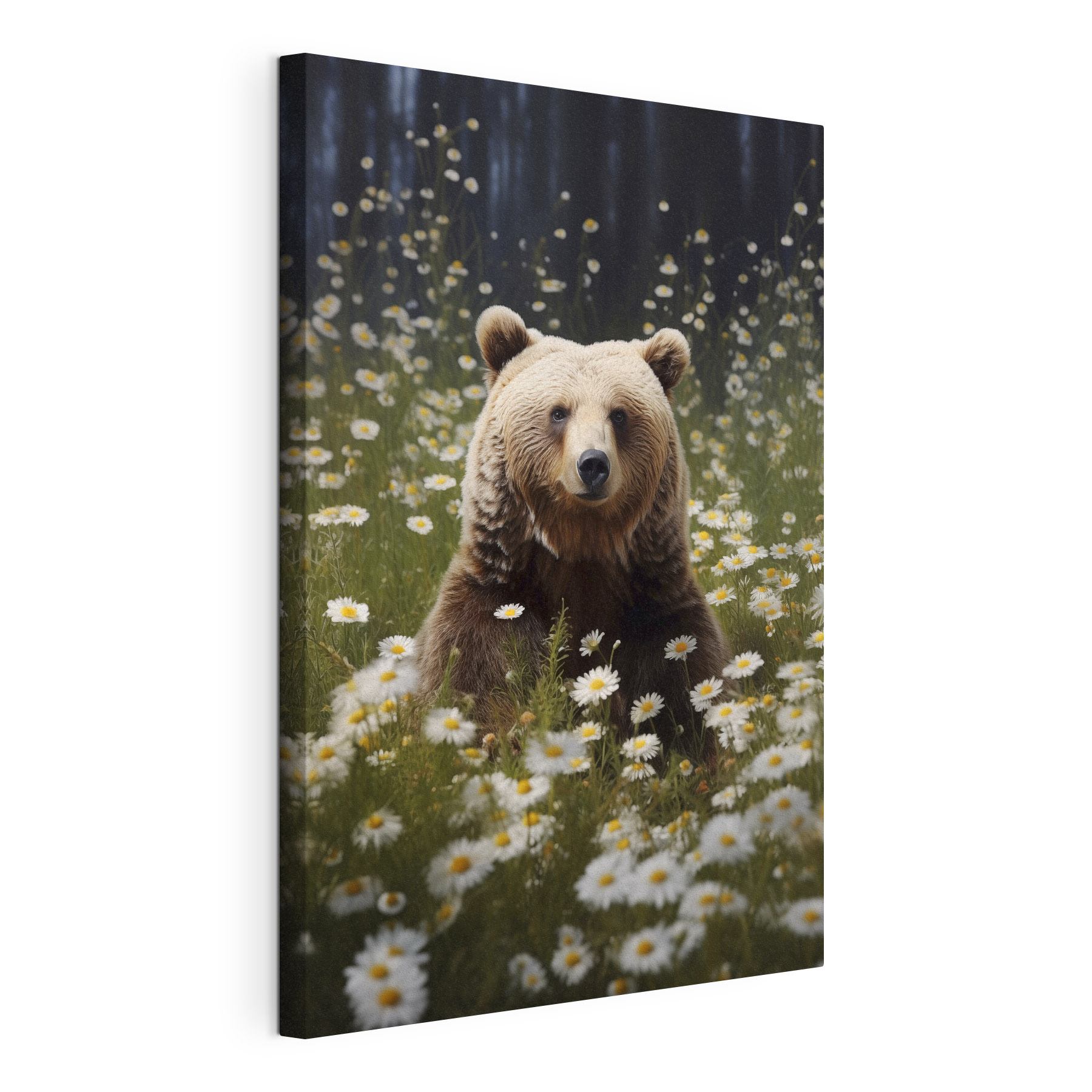 Bear sitting in a field of flowers Bear sitting in a field of flowers