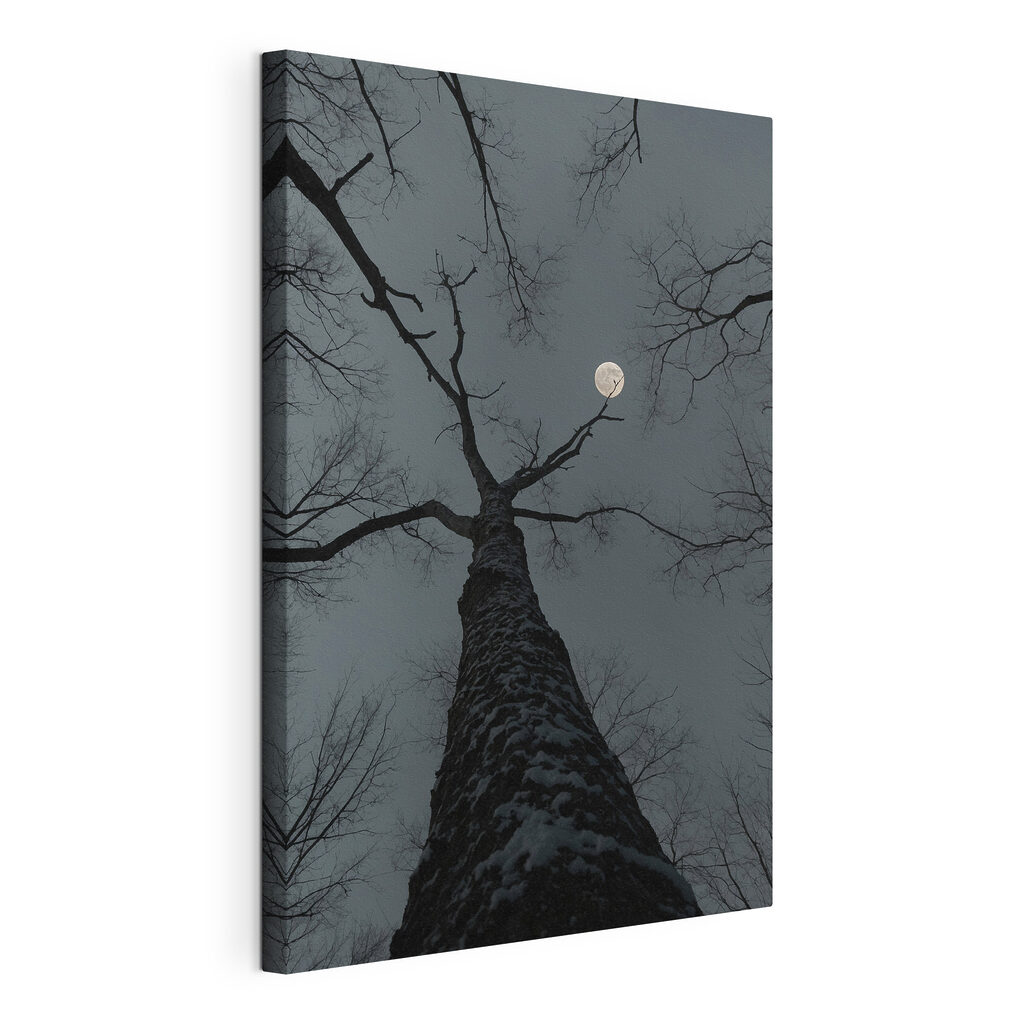 Tree with the moon in the background Tree with the moon in the background