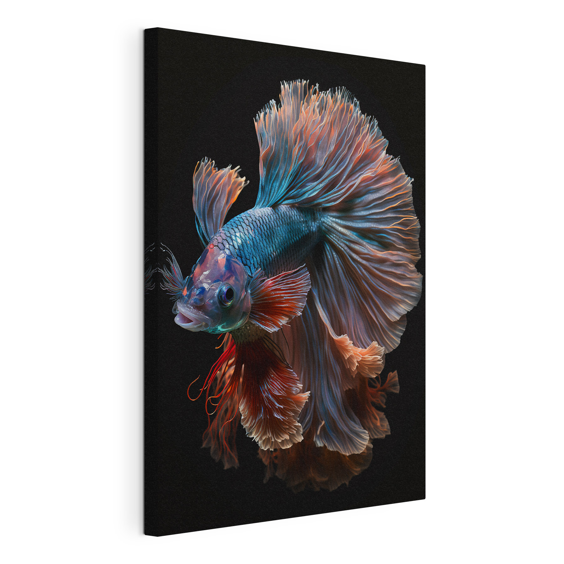 Fish with a large tail Fish with a large tail