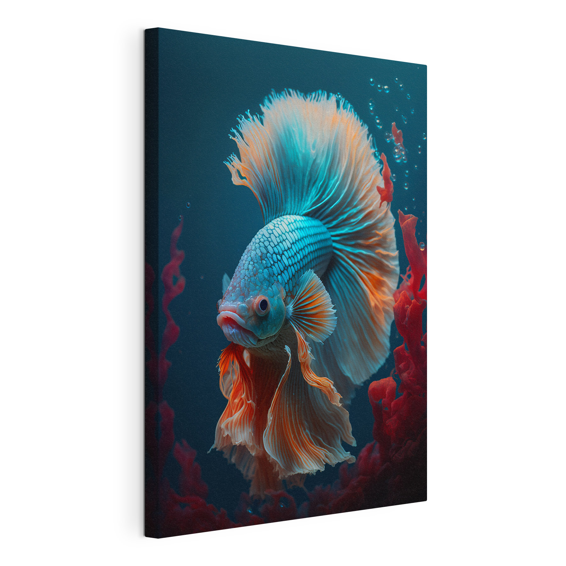 Blue and orange fish swimming in water