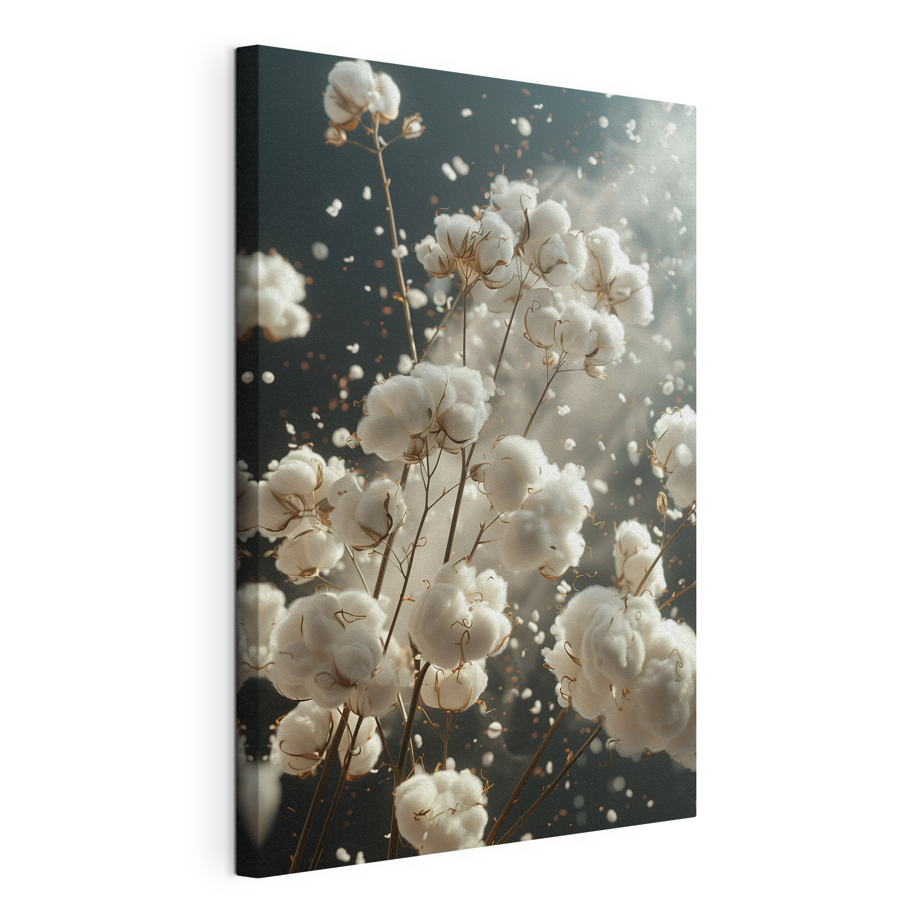 Fluffy blooms dancing in the air Fluffy blooms dancing in the air