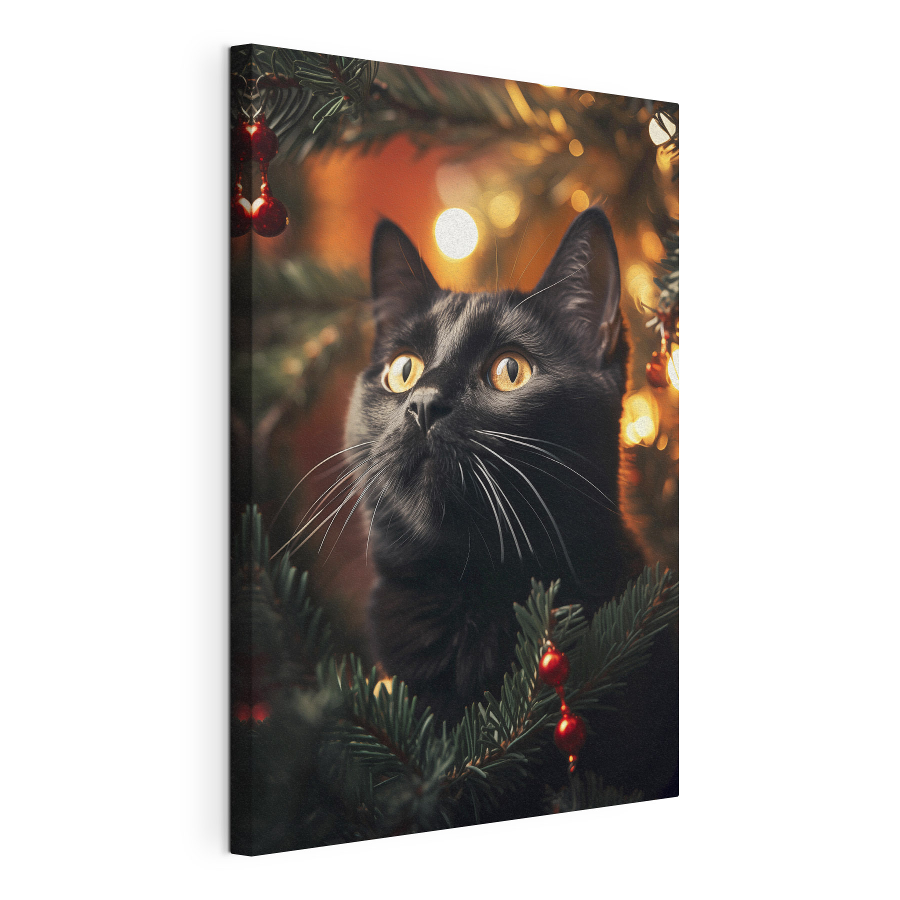 Black cat with yellow eyes Black cat with yellow eyes