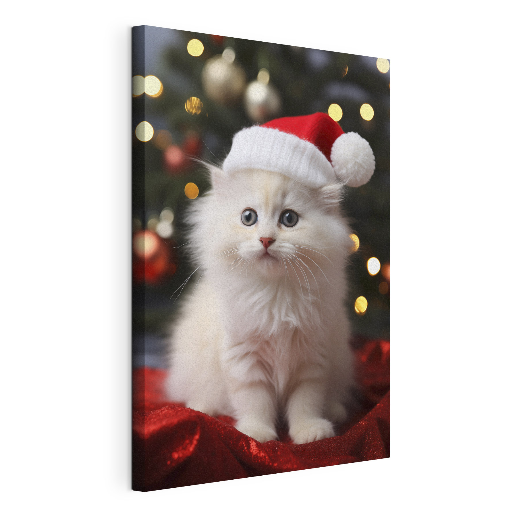 White kitten wearing a santa hat White kitten wearing a santa hat