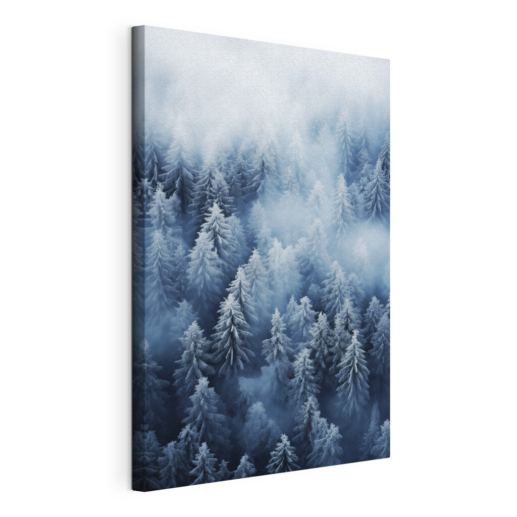 Group of trees covered in snow