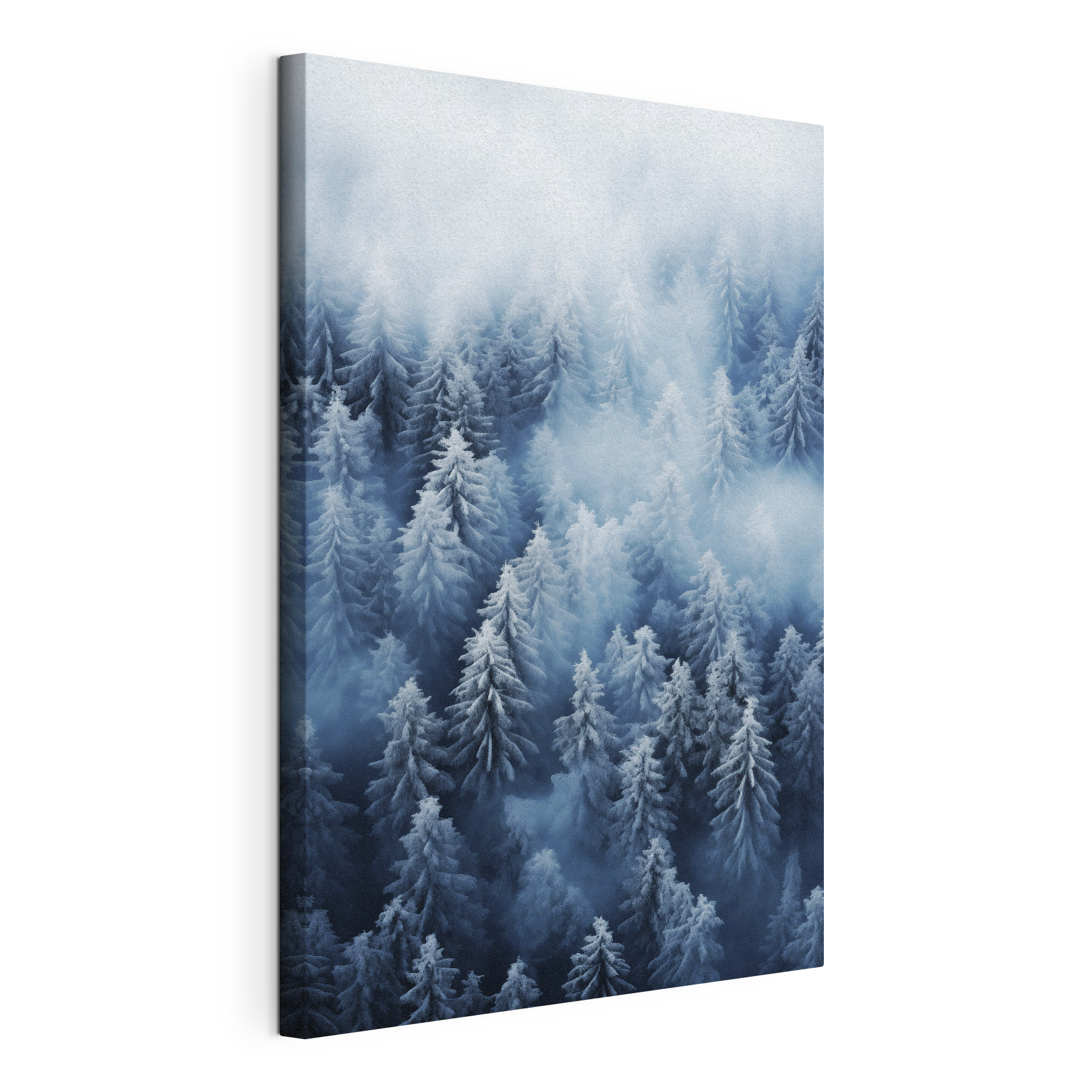 Group of trees covered in snow