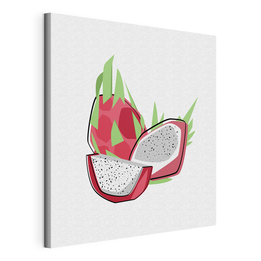 Drawing of a dragon fruit Drawing of a dragon fruit