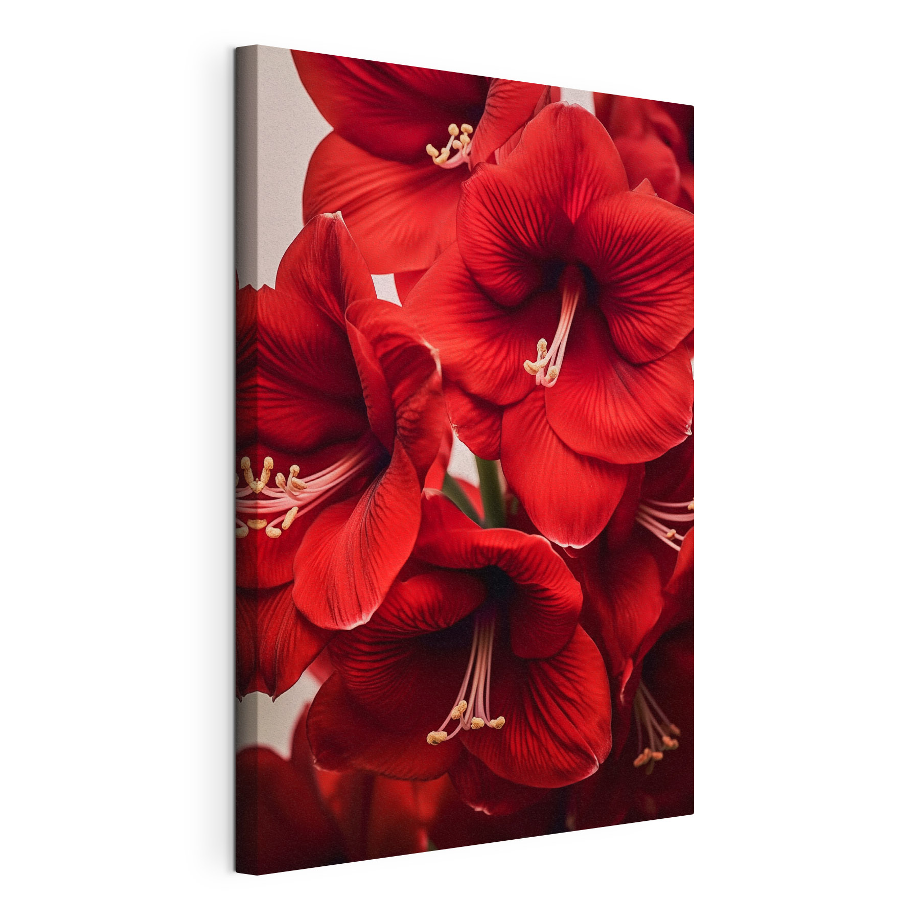 Vibrant red flowers in full bloom