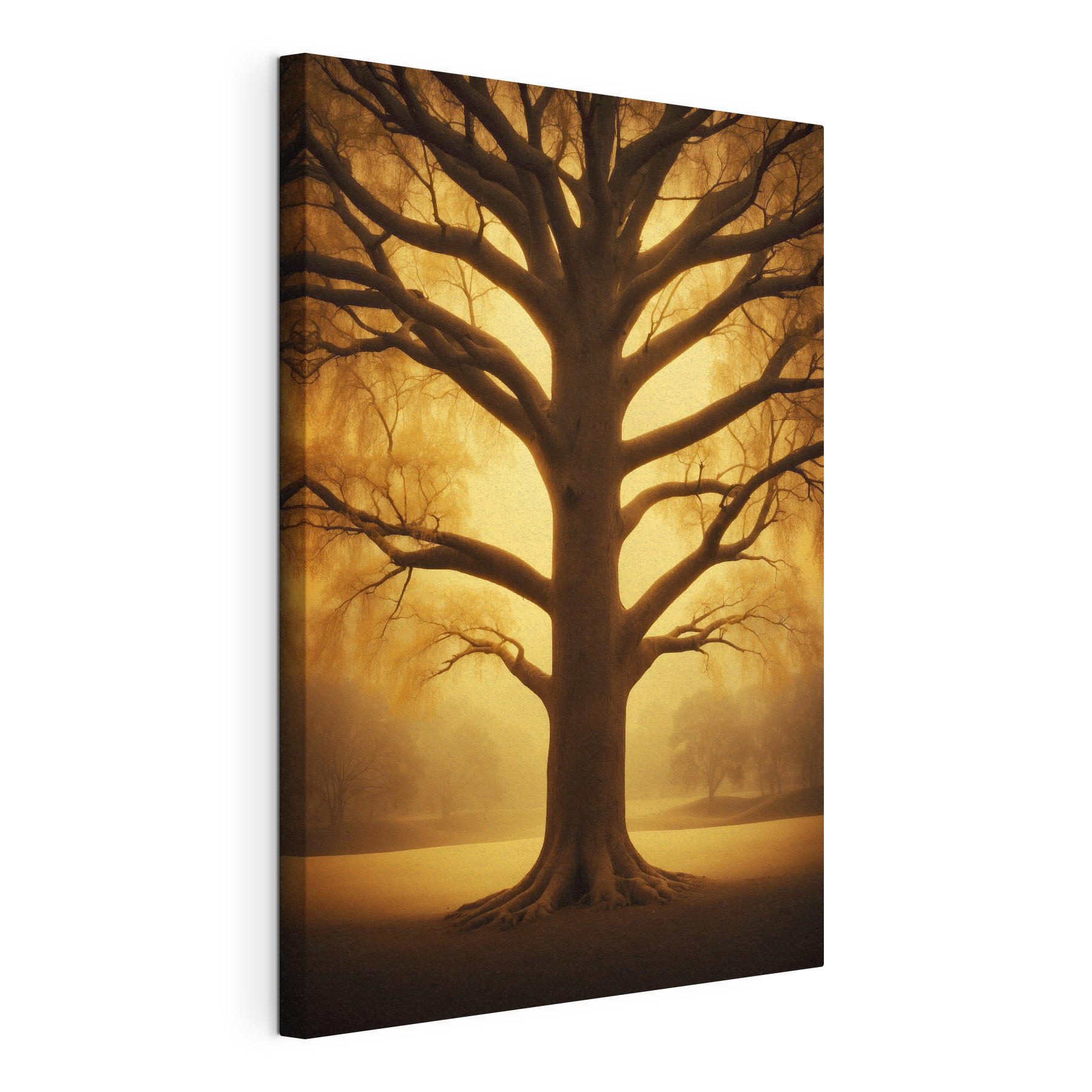 Large tree with no leaves Large tree with no leaves