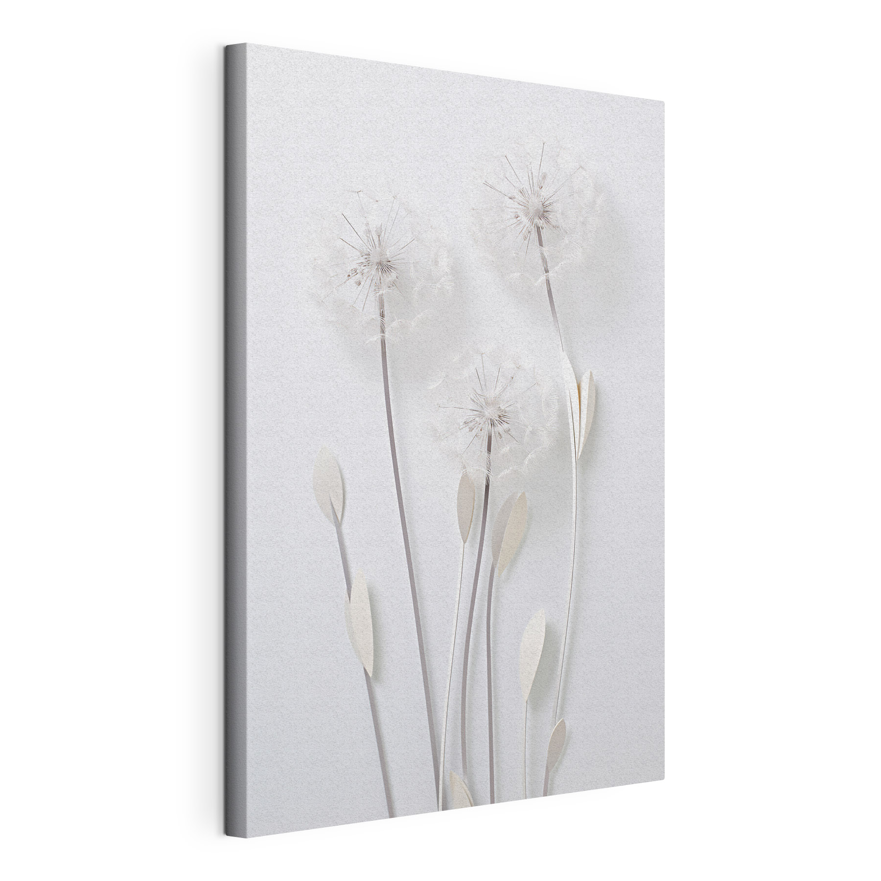 Delicate blooms on slender stems Delicate blooms on slender stems