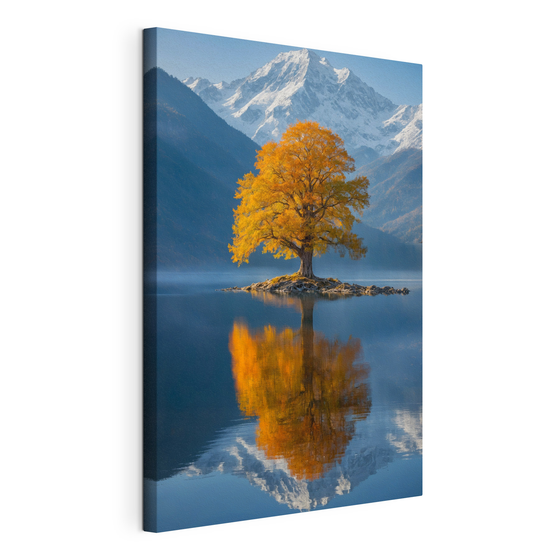 Tree on an island in a lake Tree on an island in a lake
