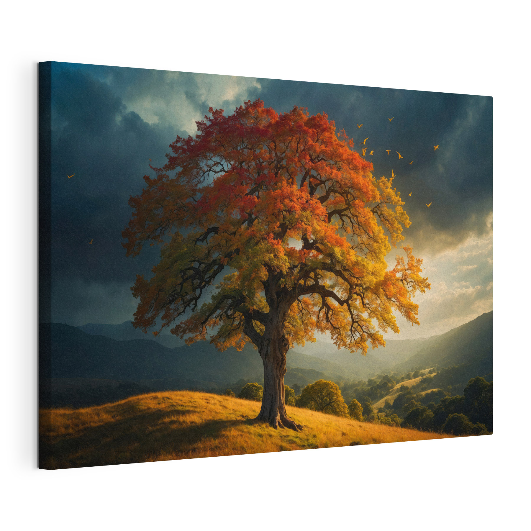 Tree with orange and yellow leaves on a hill Tree with orange and yellow leaves on a hill