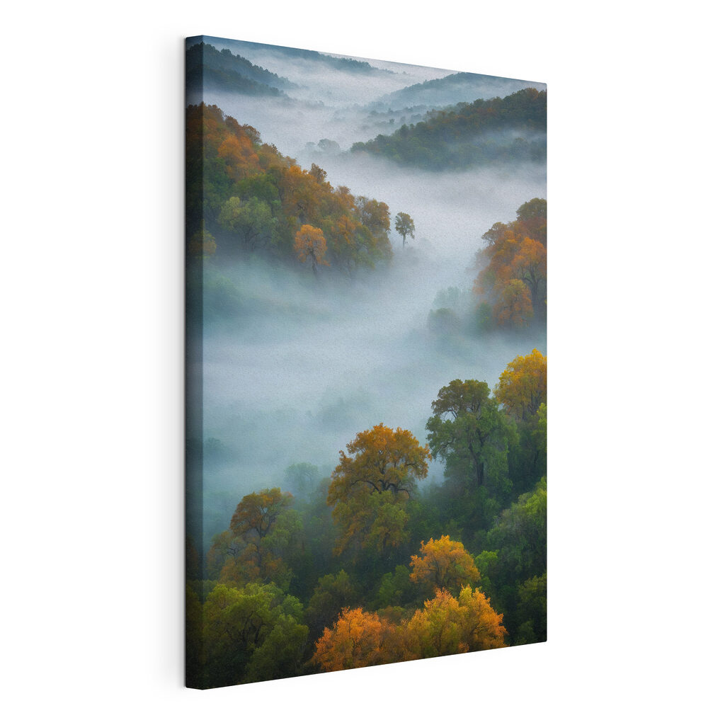 Foggy forest with trees Foggy forest with trees