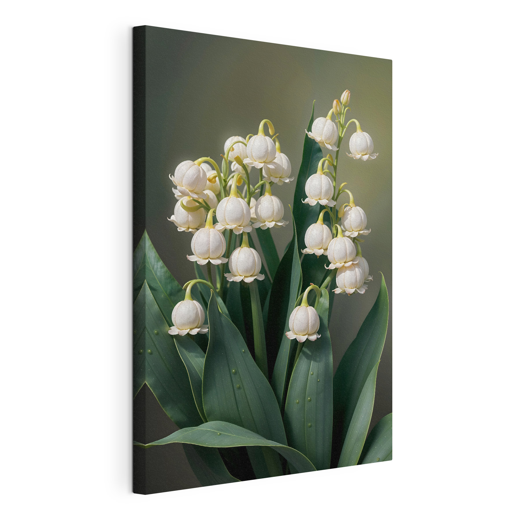 Beautiful white flowers in full bloom
