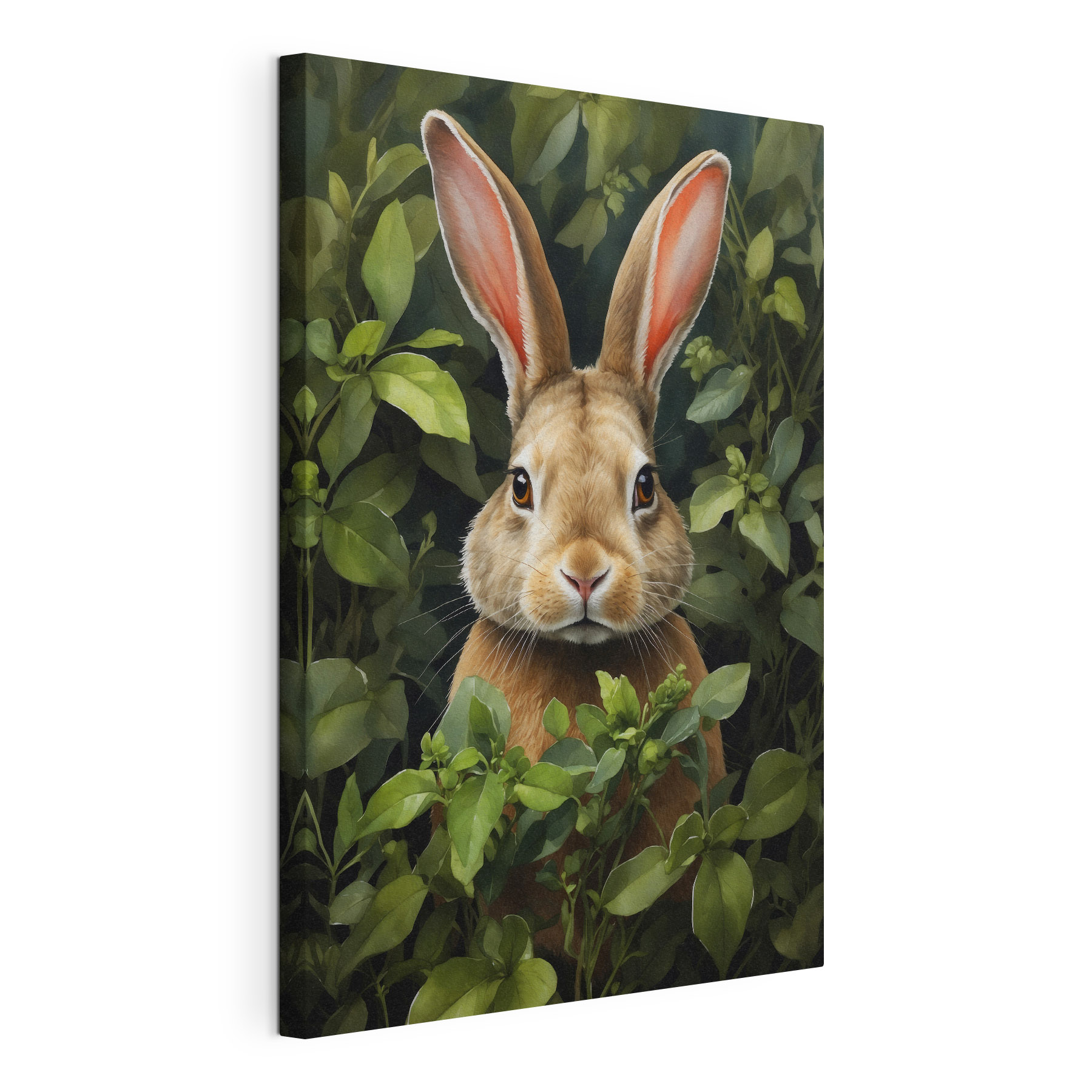 Rabbit in the bushes Rabbit in the bushes