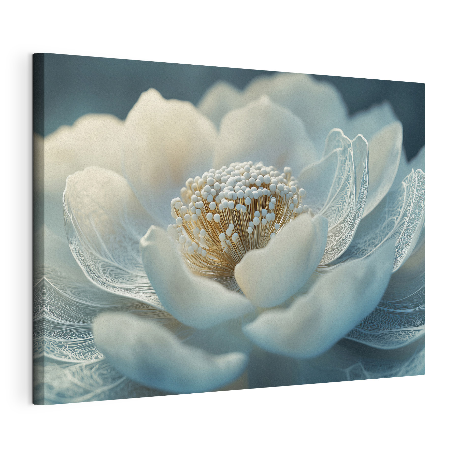 Delicate petals in soft hues