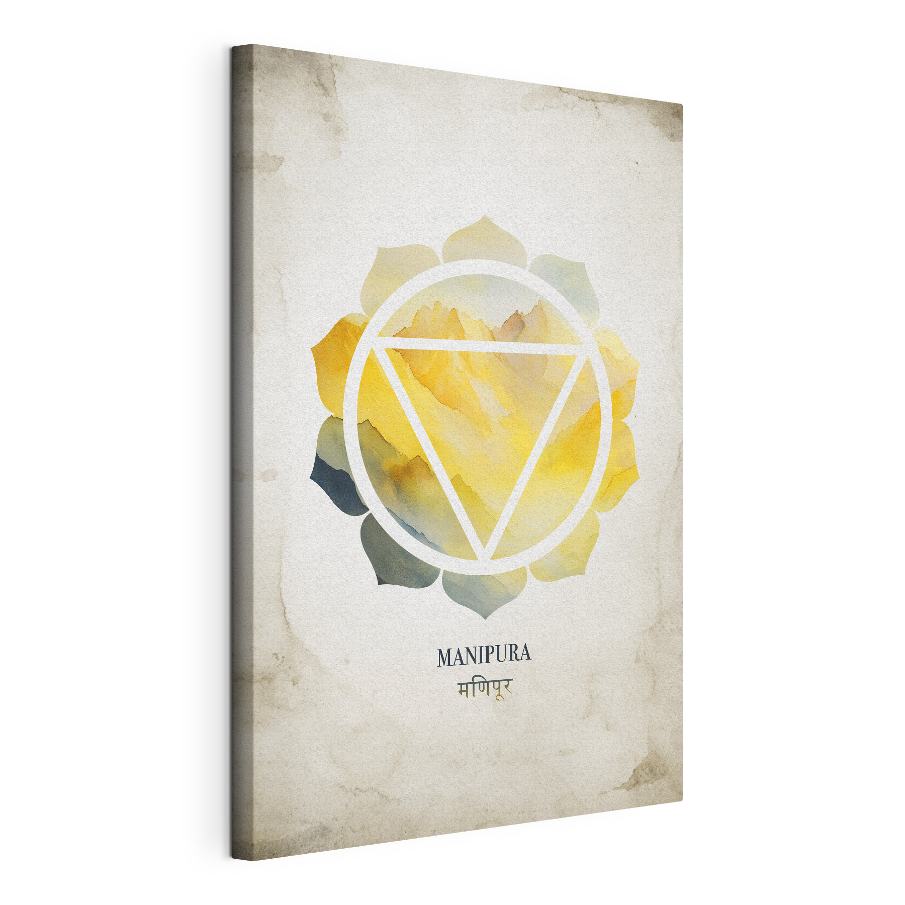 Yellow and blue flower with a triangle in center