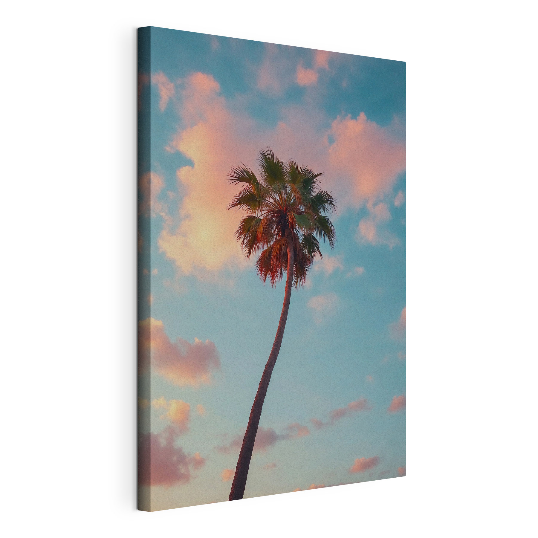 Palm tree with blue sky and clouds Palm tree with blue sky and clouds