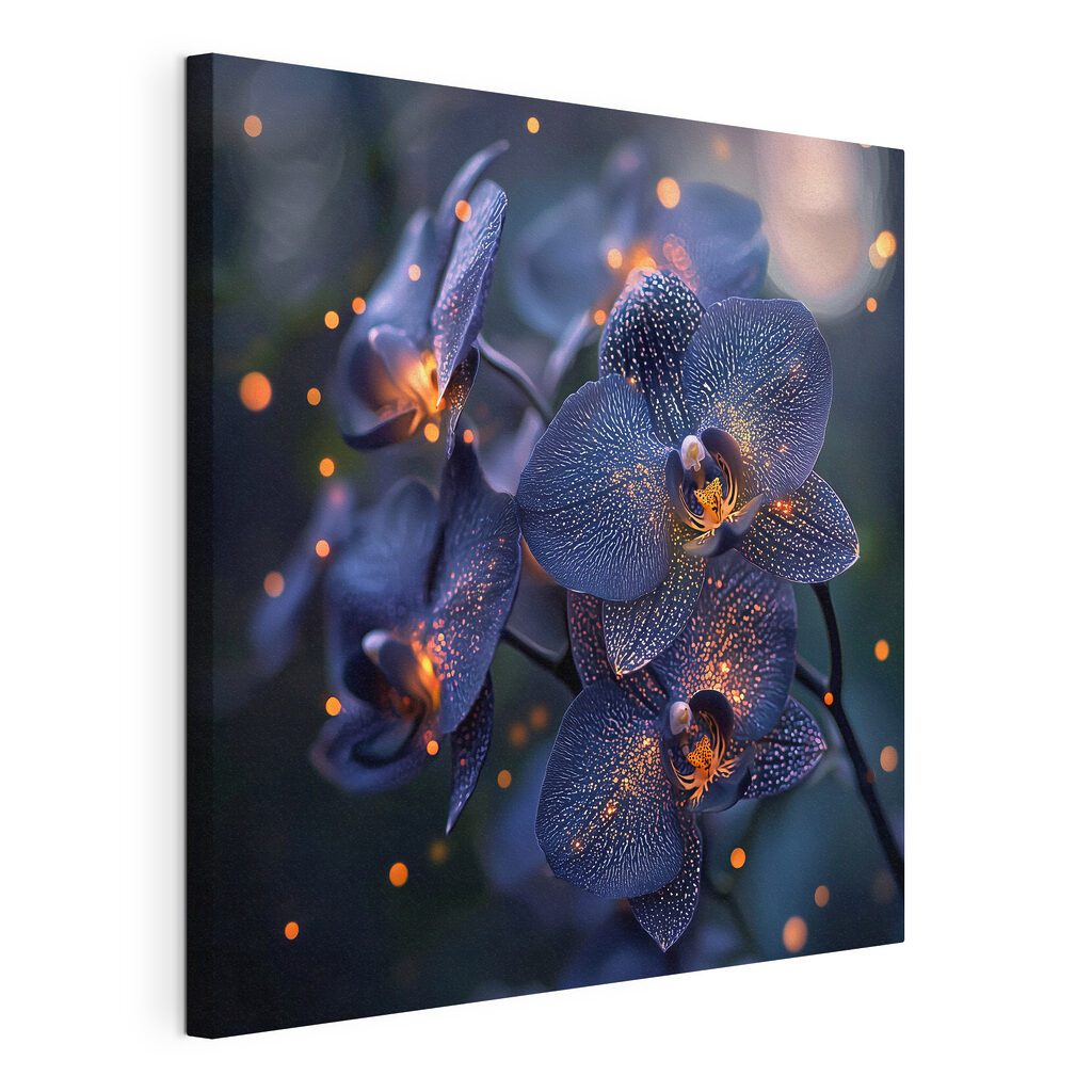 Elegant orchids in soft ambiance Elegant orchids in soft ambiance