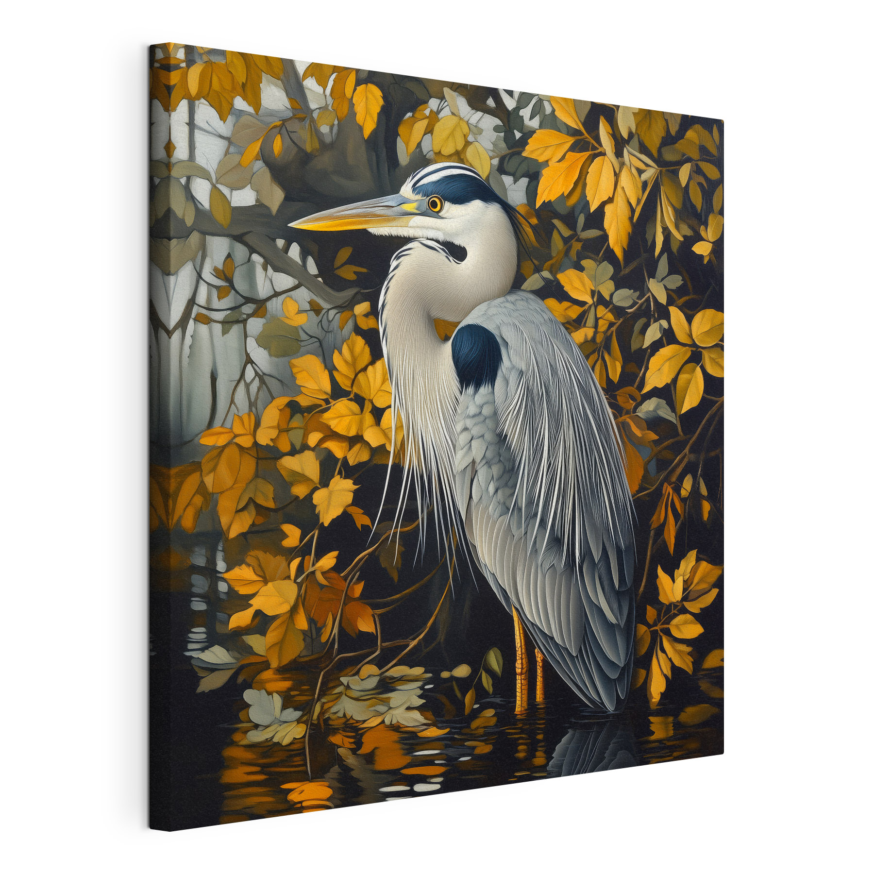 Bird standing in water Bird standing in water