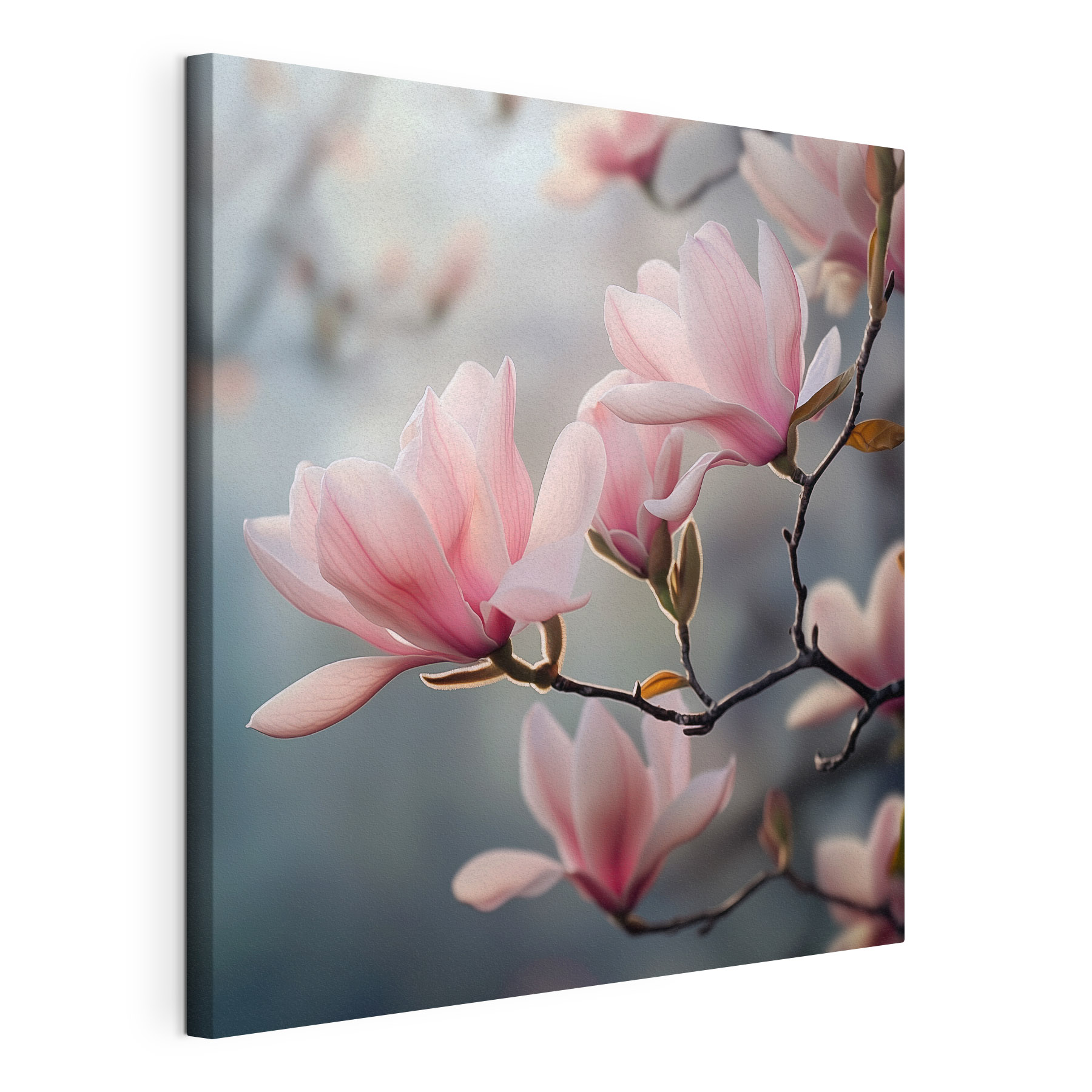 Delicate petals in soft hues