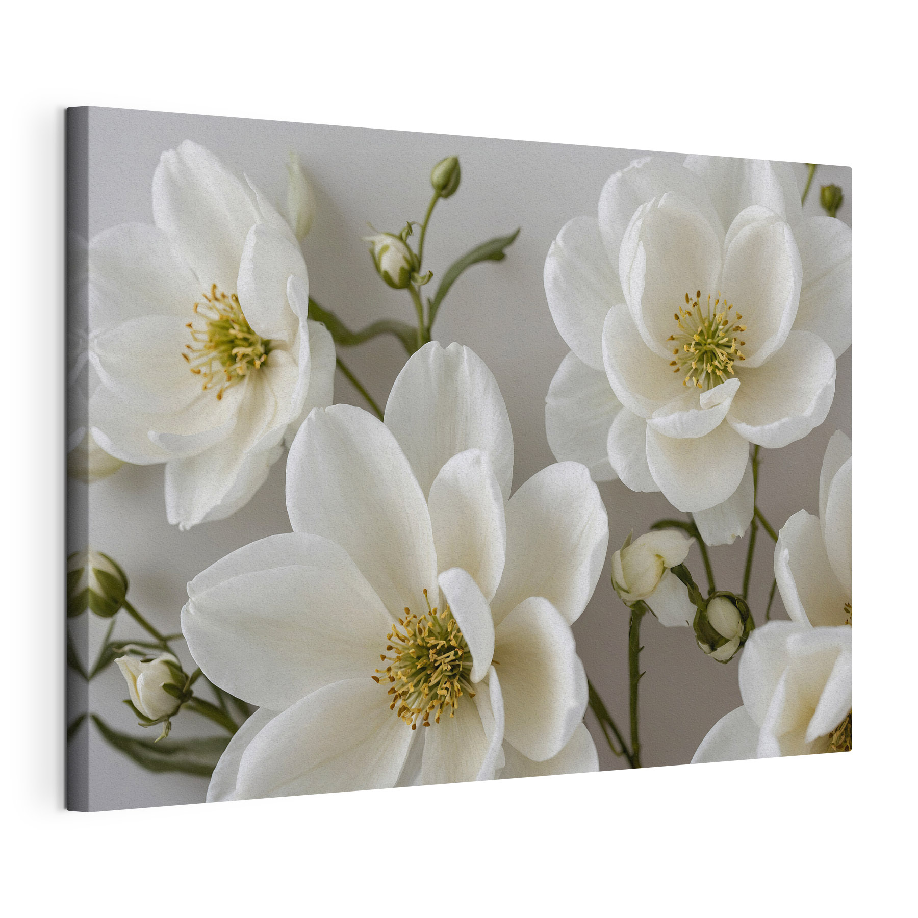 Group of white flowers