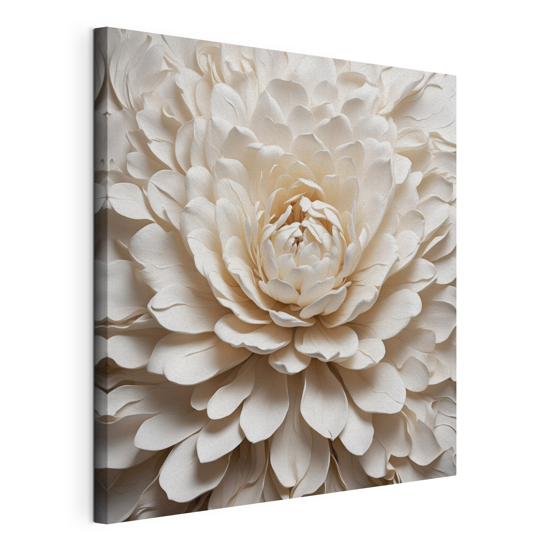 Delicate petals in soft hues