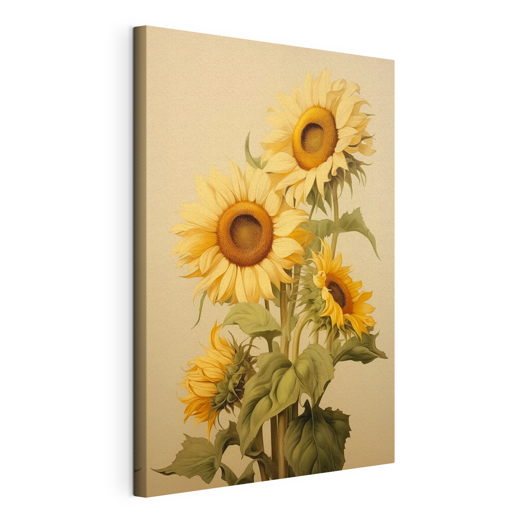Painting of sunflowers on a white background
