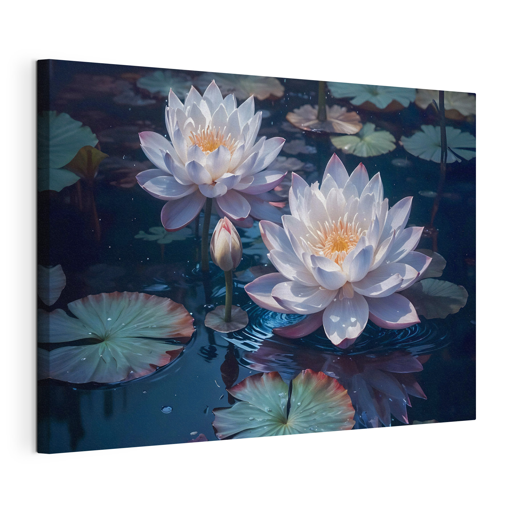 Group of white flowers in a pond