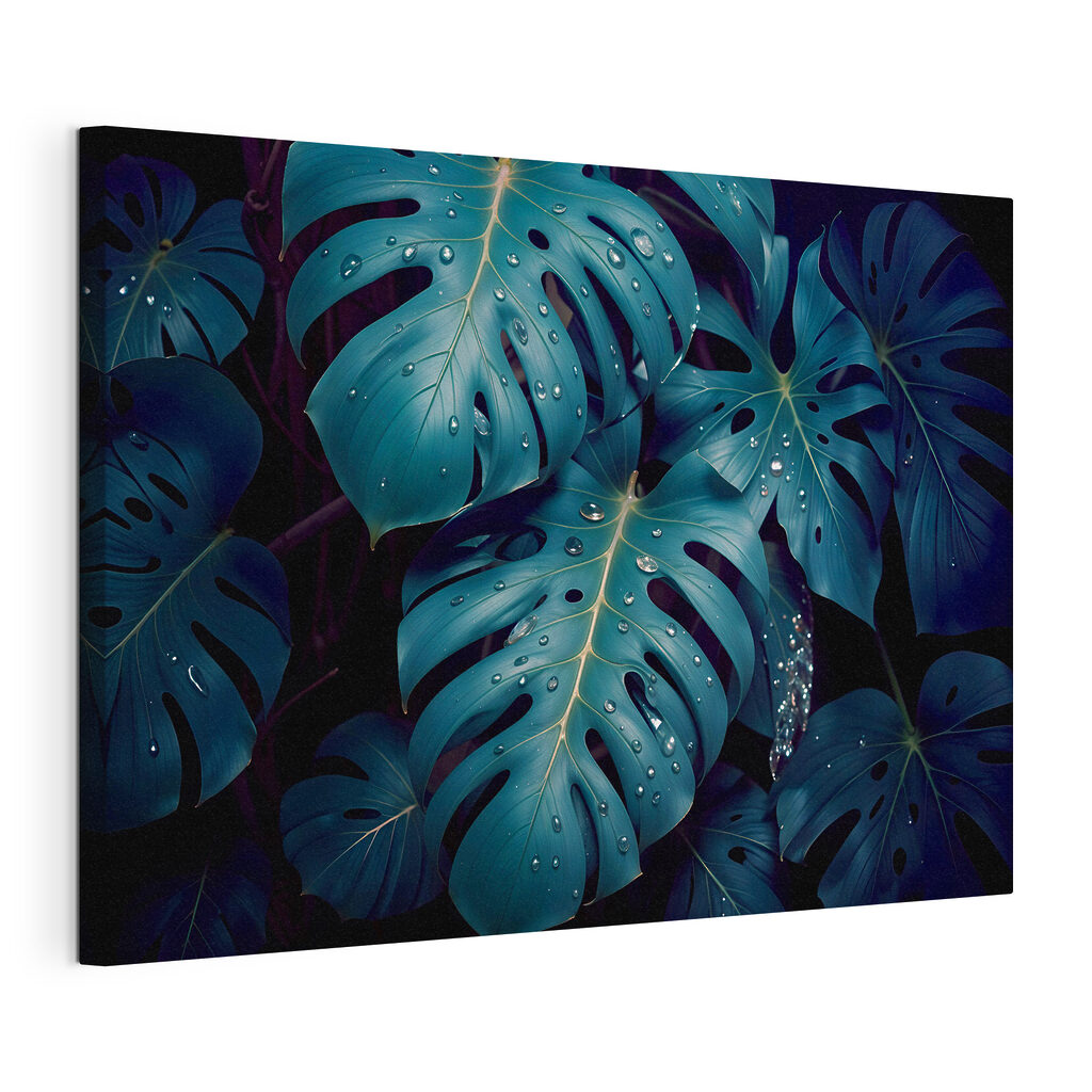 Lush leaves adorned with delicate droplets Lush leaves adorned with delicate droplets