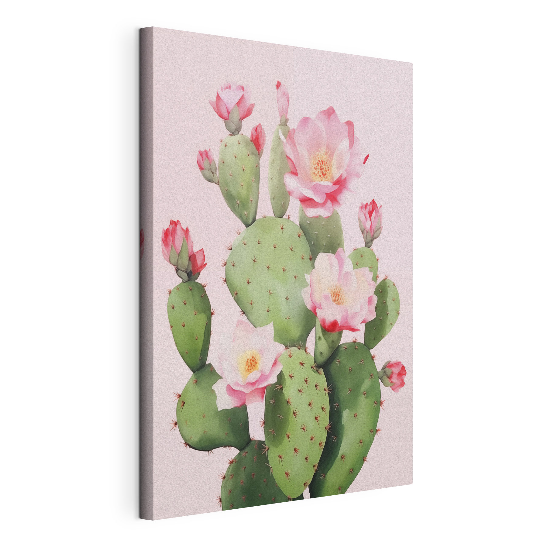 Cactus with pink flowers Cactus with pink flowers