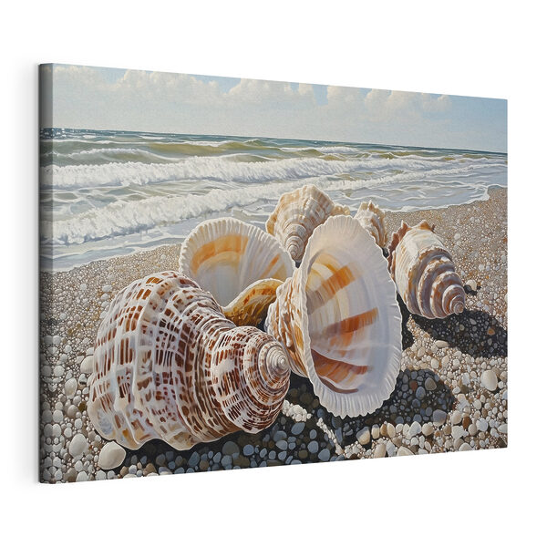 Quadri Quadri Conchiglie su una spiaggia (COD: s42333)