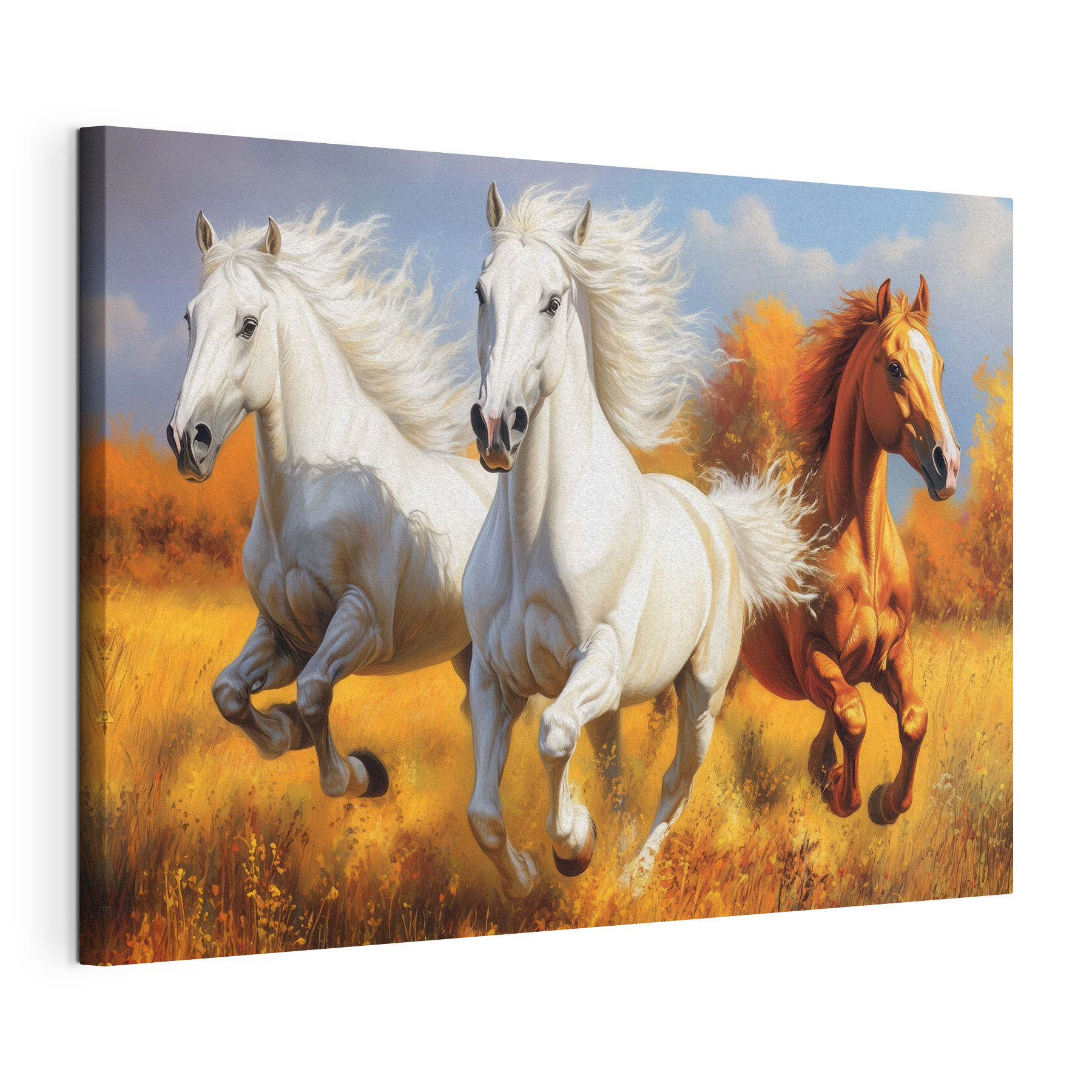 Group of horses running in a field Group of horses running in a field