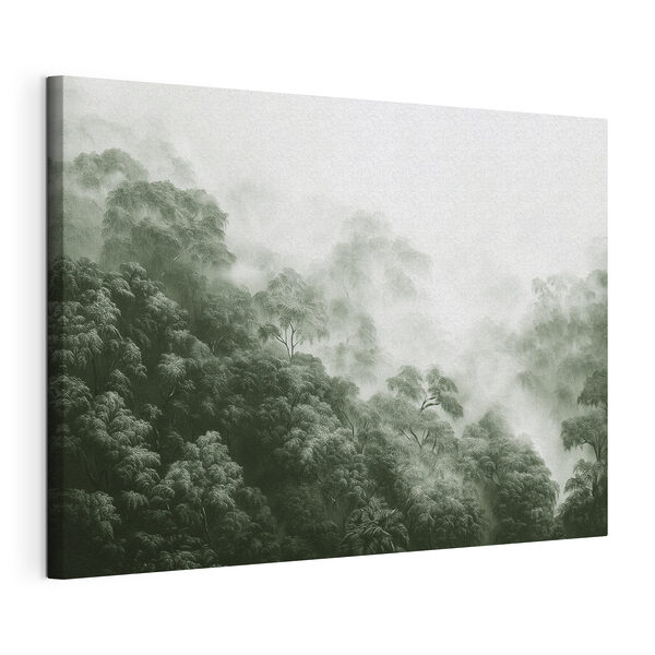 Foggy forest with trees Foggy forest with trees