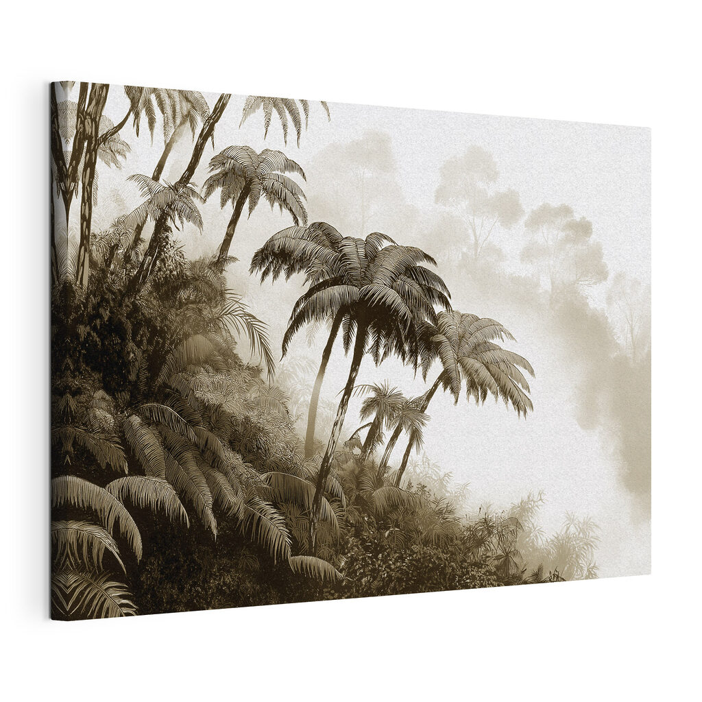 Group of palm trees in a forest Group of palm trees in a forest