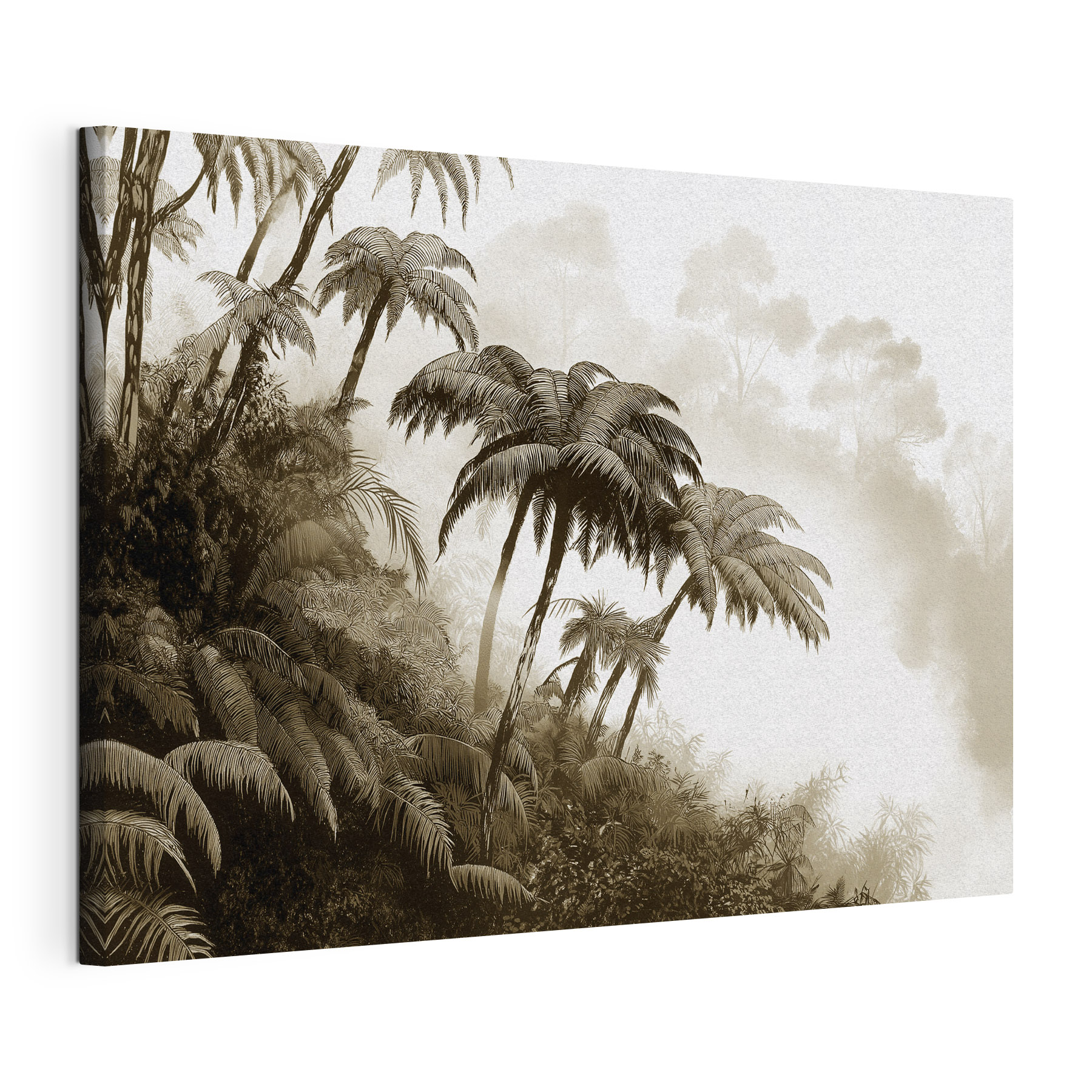 Group of palm trees in a forest Group of palm trees in a forest