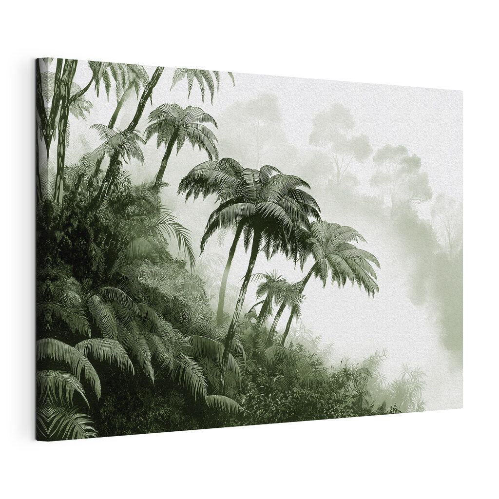 Group of palm trees in a forest Group of palm trees in a forest